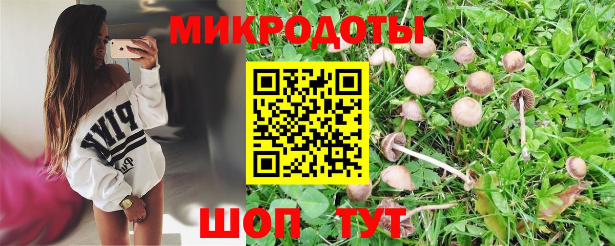 Псилоцибиновые грибы прущие грибы  Вход с VPN  Сертолово 