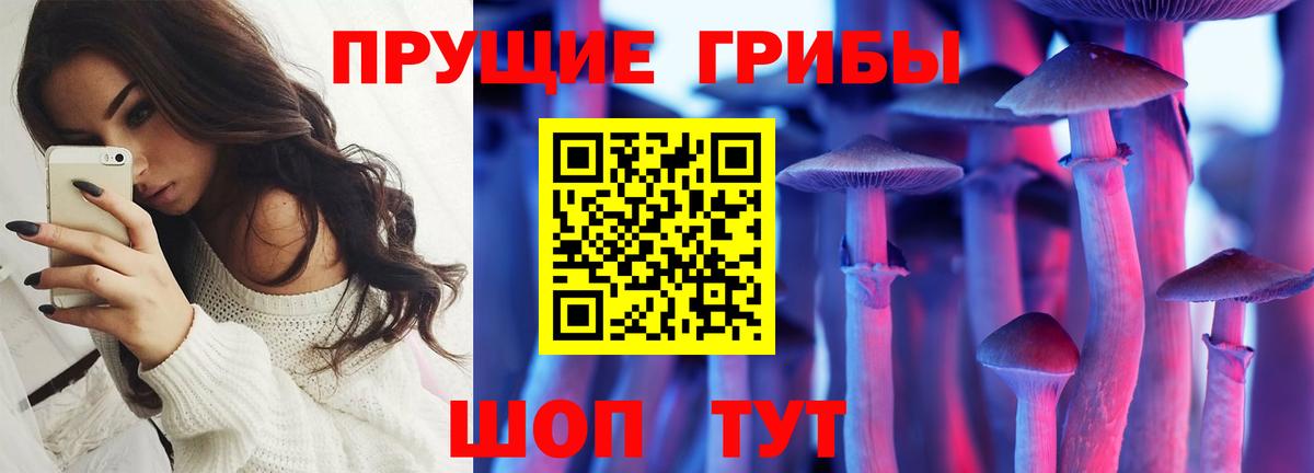 Галлюциногенные грибы Magic Shrooms Сертолово